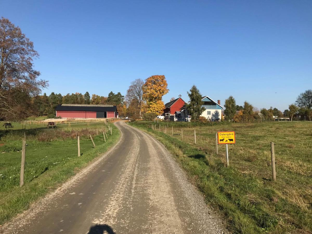 Stegemans Horse Hotel And Country Lodge Ljungby  Exterior photo